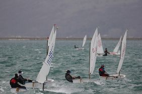 Blick aufs Wasser mit vielen Segelbooten