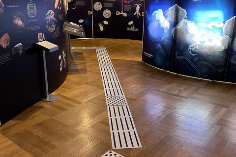 Blindenleitsystem im Senckenbergmuseum umgeben von Aufstelltafel einer Ausstellung