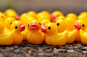 kleine gelbe Plastik-Enten 