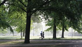 2 Personen joggen im Park